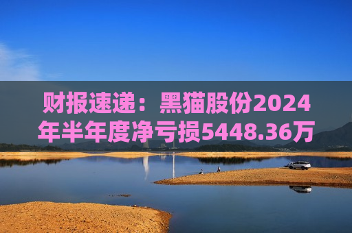 财报速递：黑猫股份2024年半年度净亏损5448.36万元