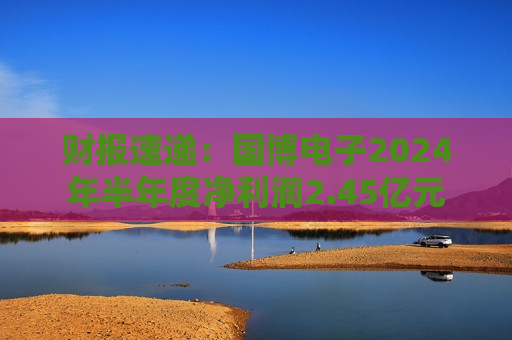 财报速递：国博电子2024年半年度净利润2.45亿元  第1张