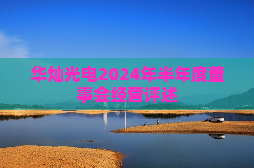 华灿光电2024年半年度董事会经营评述