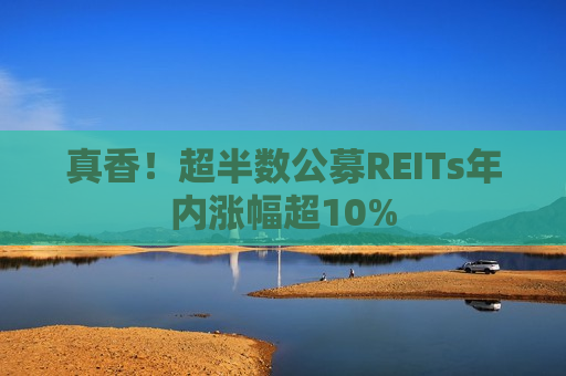 真香！超半数公募REITs年内涨幅超10%