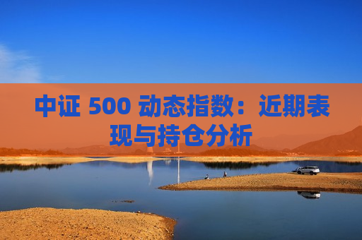 中证 500 动态指数：近期表现与持仓分析  第1张