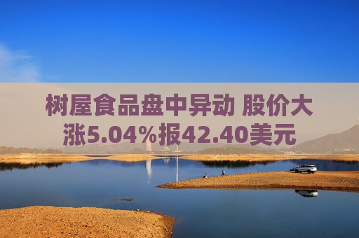 树屋食品盘中异动 股价大涨5.04%报42.40美元