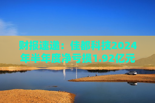 财报速递：佳都科技2024年半年度净亏损1.92亿元  第1张