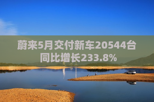 蔚来5月交付新车20544台 同比增长233.8%  第1张