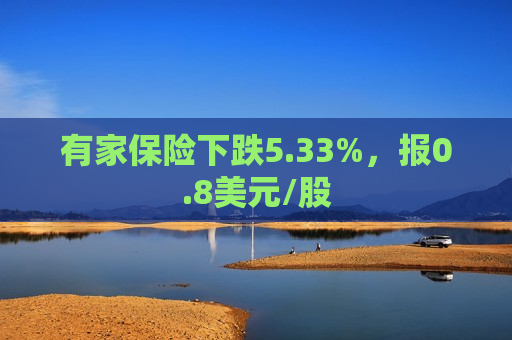 有家保险下跌5.33%，报0.8美元/股  第1张