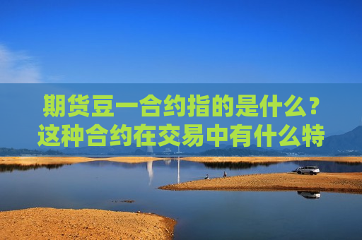 期货豆一合约指的是什么？这种合约在交易中有什么特点？  第1张