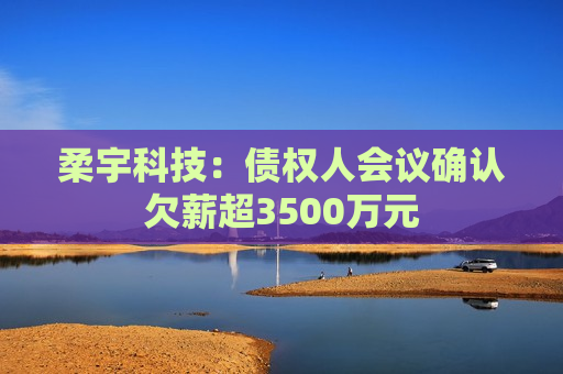 柔宇科技：债权人会议确认欠薪超3500万元