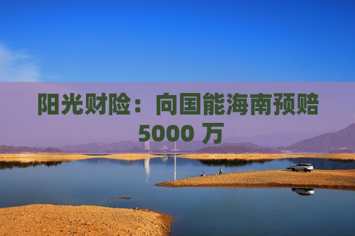 阳光财险：向国能海南预赔 5000 万  第1张