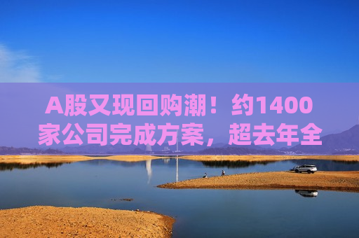 A股又现回购潮！约1400家公司完成方案，超去年全年！