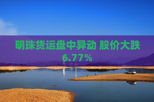 明珠货运盘中异动 股价大跌6.77%