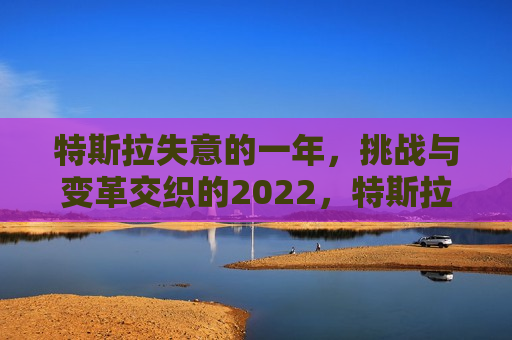 特斯拉失意的一年，挑战与变革交织的2022，特斯拉的变革与挑战交织的2022年