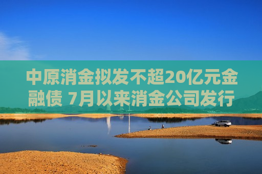 中原消金拟发不超20亿元金融债 7月以来消金公司发行金融债规模已逼近上半年  第1张