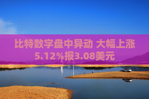 比特数字盘中异动 大幅上涨5.12%报3.08美元  第1张