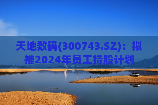 天地数码(300743.SZ)：拟推2024年员工持股计划  第1张