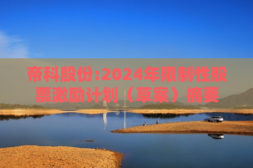 帝科股份:2024年限制性股票激励计划（草案）摘要