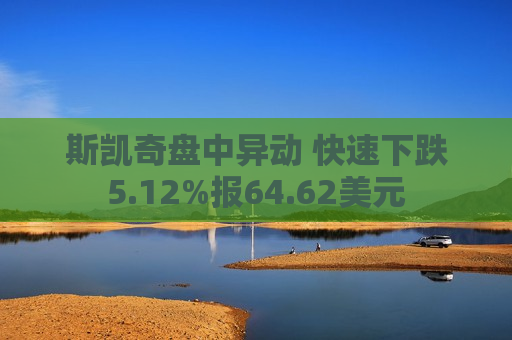 斯凯奇盘中异动 快速下跌5.12%报64.62美元