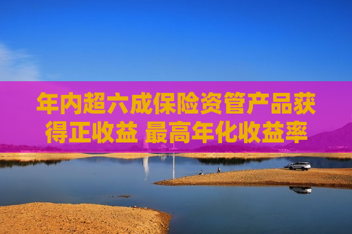 年内超六成保险资管产品获得正收益 最高年化收益率约35%