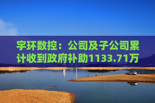 宇环数控：公司及子公司累计收到政府补助1133.71万元  第1张