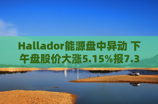 Hallador能源盘中异动 下午盘股价大涨5.15%报7.35美元  第1张