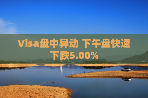 Visa盘中异动 下午盘快速下跌5.00%