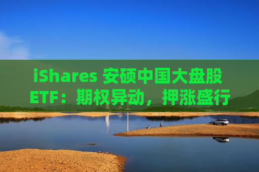 iShares 安硕中国大盘股 ETF：期权异动，押涨盛行