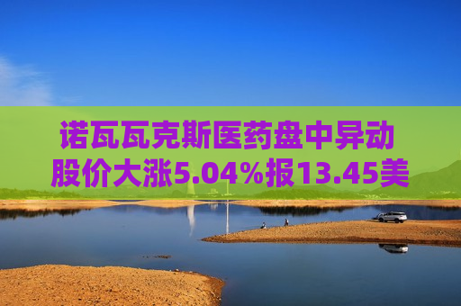 诺瓦瓦克斯医药盘中异动 股价大涨5.04%报13.45美元  第1张