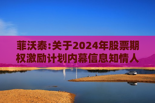 菲沃泰:关于2024年股票期权激励计划内幕信息知情人及激励对象买卖公司股票情况的自查报告