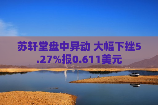 苏轩堂盘中异动 大幅下挫5.27%报0.611美元  第1张