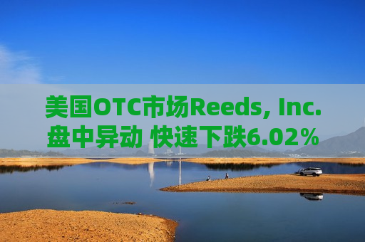 美国OTC市场Reeds, Inc.盘中异动 快速下跌6.02%  第1张