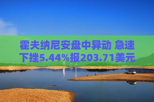 霍夫纳尼安盘中异动 急速下挫5.44%报203.71美元  第1张