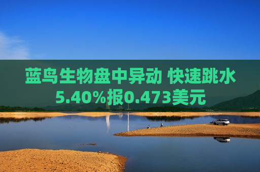 蓝鸟生物盘中异动 快速跳水5.40%报0.473美元