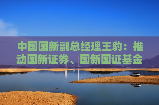 中国国新副总经理王豹：推动国新证券、国新国证基金打造公募REITs上市平台  第1张