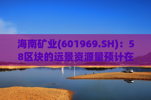 海南矿业(601969.SH)：58区块的远景资源量预计在4亿桶左右