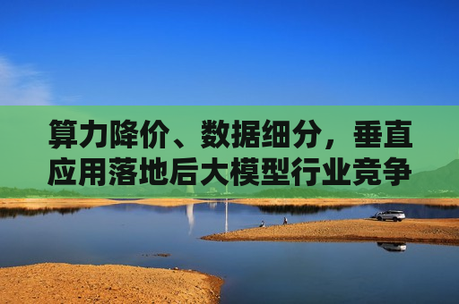 算力降价、数据细分，垂直应用落地后大模型行业竞争点何在？