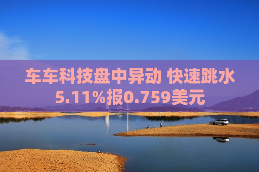 车车科技盘中异动 快速跳水5.11%报0.759美元  第1张