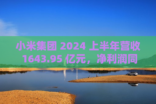 小米集团 2024 上半年营收 1643.95 亿元，净利润同比增长 17.86%  第1张