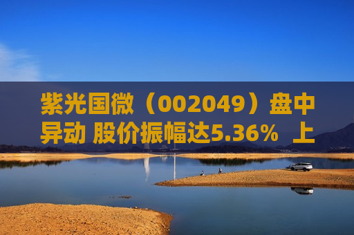 紫光国微（002049）盘中异动 股价振幅达5.36%  上涨7.4%（09-27） 第1张