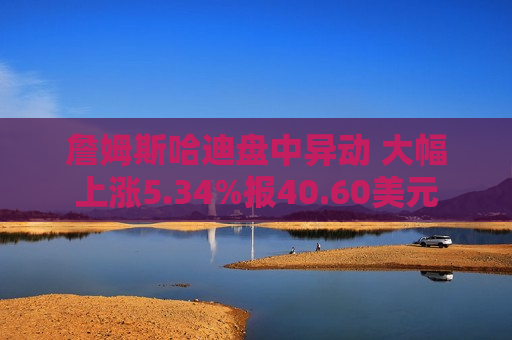 詹姆斯哈迪盘中异动 大幅上涨5.34%报40.60美元