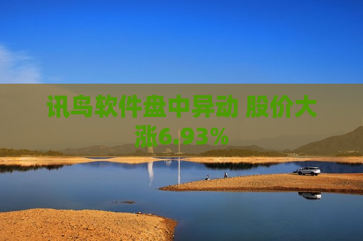 讯鸟软件盘中异动 股价大涨6.93%