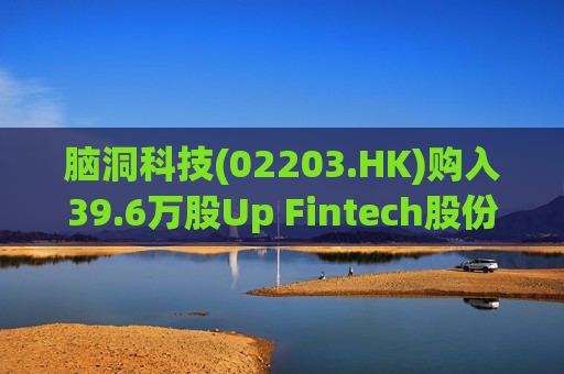 脑洞科技(02203.HK)购入39.6万股Up Fintech股份