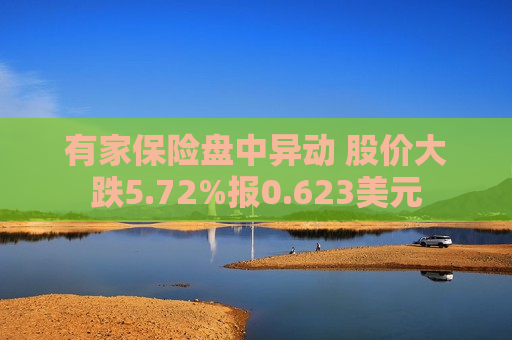 有家保险盘中异动 股价大跌5.72%报0.623美元  第1张