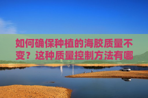 如何确保种植的海胶质量不变？这种质量控制方法有哪些挑战？