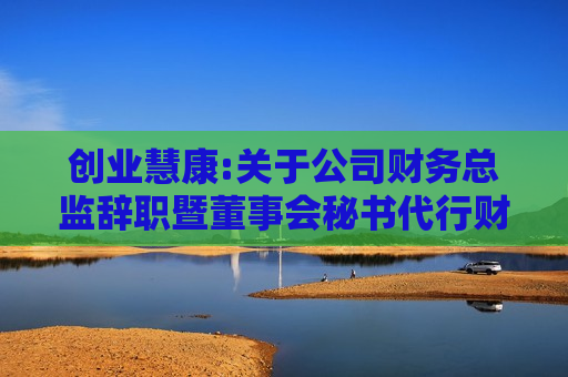 创业慧康:关于公司财务总监辞职暨董事会秘书代行财务总监职责的公告