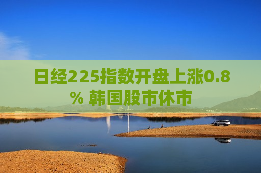 日经225指数开盘上涨0.8% 韩国股市休市