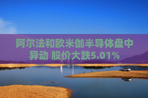 阿尔法和欧米伽半导体盘中异动 股价大跌5.01%