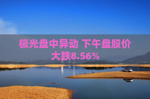 极光盘中异动 下午盘股价大跌8.56%