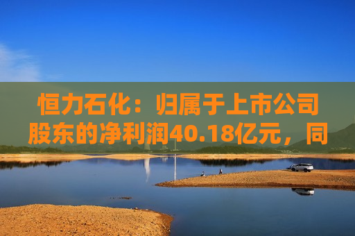 恒力石化：归属于上市公司股东的净利润40.18亿元，同比增长31.77%  第1张