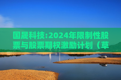 国晟科技:2024年限制性股票与股票期权激励计划（草案）摘要公告  第1张