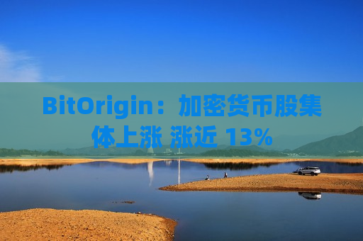 BitOrigin：加密货币股集体上涨 涨近 13%