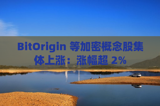 BitOrigin 等加密概念股集体上涨：涨幅超 2%